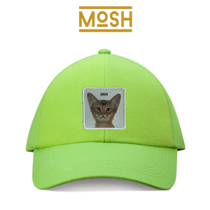 Parche Cachorro Gato Abisinio Mosh: Curiosidad y Agilidad