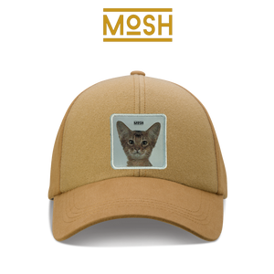 Parche Cachorro Gato Abisinio Mosh: Curiosidad y Agilidad