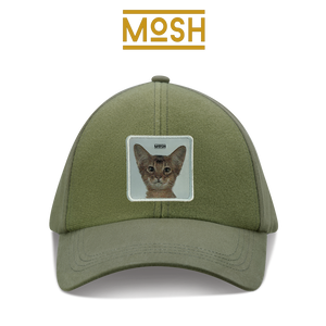 Parche Cachorro Gato Abisinio Mosh: Curiosidad y Agilidad