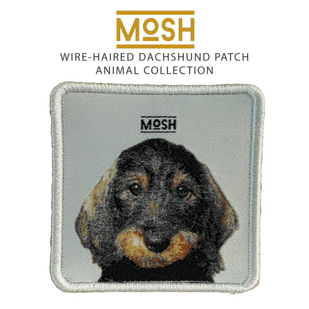Parche Cachorro Teckel Pelo Duro Mosh: Espíritu Valiente