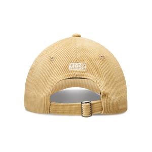 Mosh Lola pana camel