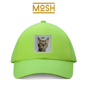 Parche Cachorro Gato de Bengala Mosh: Espíritu Salvaje y Aventura