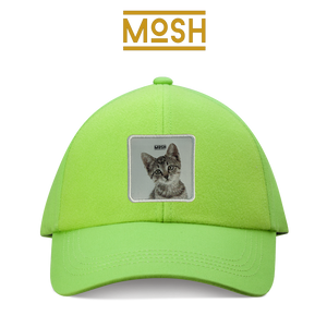 Parche Cachorro Gato Común Mosh: Adaptabilidad y Sabiduría Diaria