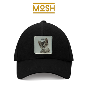 Parche Cachorro Gato Común Mosh: Adaptabilidad y Sabiduría Diaria