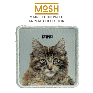 Maine Coon Puppy Patch Mosh: Majesty and Patience