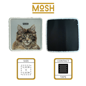 Maine Coon Puppy Patch Mosh: Majesty and Patience