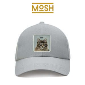 Maine Coon Puppy Patch Mosh: Majesty and Patience