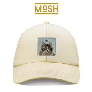 Maine Coon Puppy Patch Mosh: Majesty and Patience