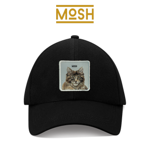 Maine Coon Puppy Patch Mosh: Majesty and Patience