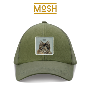 Maine Coon Puppy Patch Mosh: Majesty and Patience