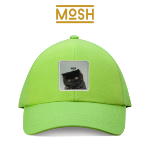 Parche Cachorro Gato Persa Mosh: Calma y Belleza Serena