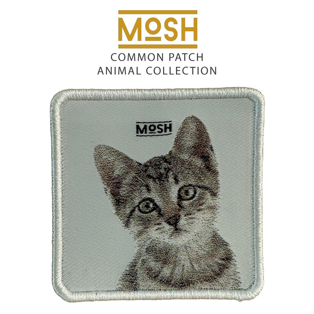 Parche Cachorro Gato Común Mosh: Adaptabilidad y Sabiduría Diaria